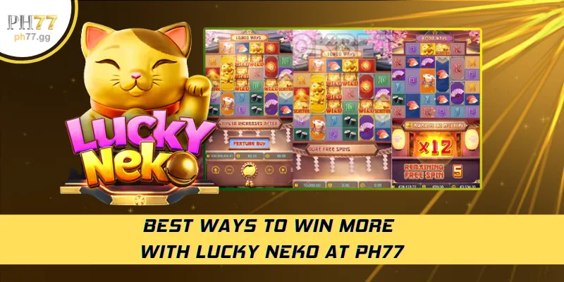Best ways to win more with Lucky Neko at PH77