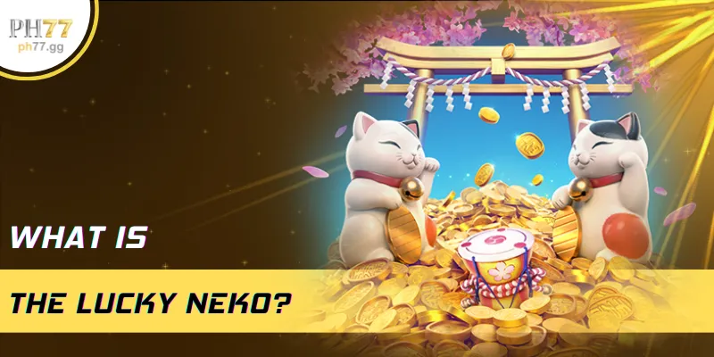 What is the Lucky Neko